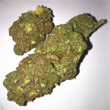 Buy Weed in Montpellier – Fast Secure & Discreet Cannabis Delivery